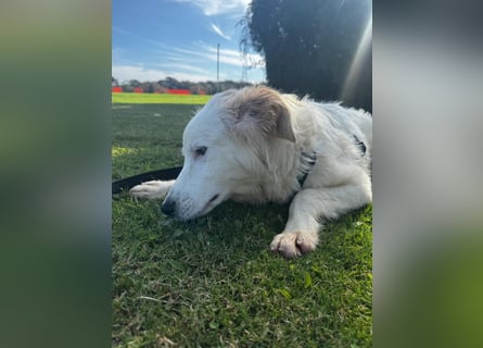 Tom: verliebt in alle Menschen