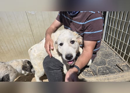 Balma: so klein und so allein