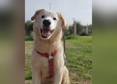 Tom: verliebt in alle Menschen