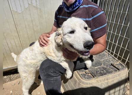 Balma: so klein und so allein