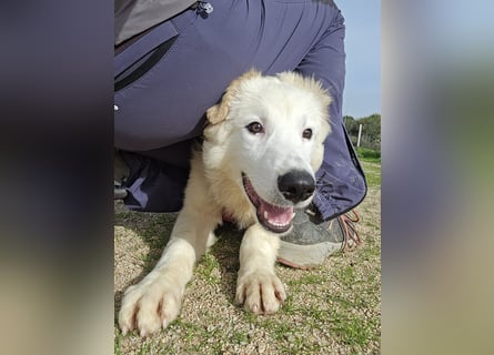 Tom: verliebt in alle Menschen