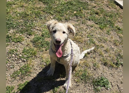 Sebastian: kleiner Schelm freut sich aufs Leben