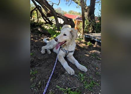 Sebastian: kleiner Schelm freut sich aufs Leben