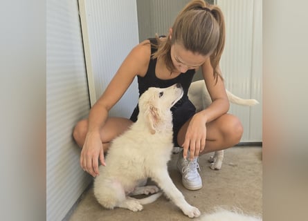 Bo: Charmeur mit Kulleraugen