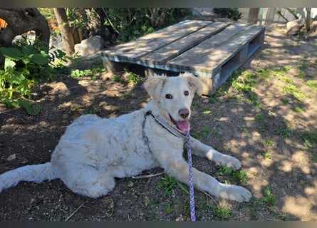 Sebastian: kleiner Schelm freut sich aufs Leben