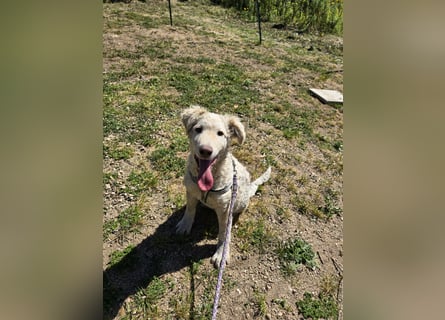 Sebastian: kleiner Schelm freut sich aufs Leben