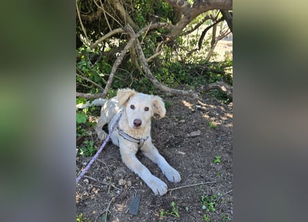 Sebastian: kleiner Schelm freut sich aufs Leben