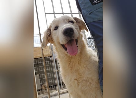 Balma: so klein und so allein