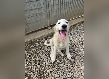 Balma: so klein und so allein