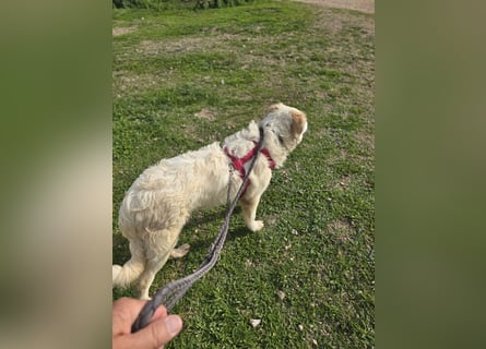 Tom: verliebt in alle Menschen