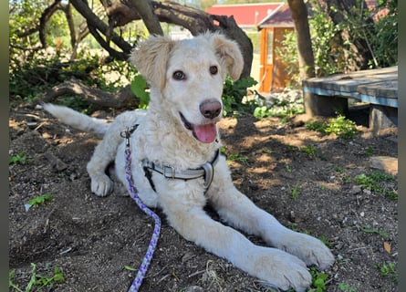 Sebastian: kleiner Schelm freut sich aufs Leben