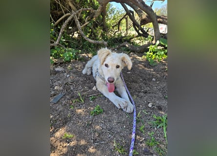 Sebastian: kleiner Schelm freut sich aufs Leben