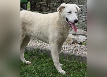 Kate: sucht Familienanschluss