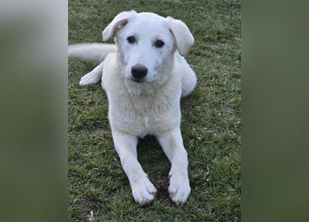 Kate: sucht Familienanschluss