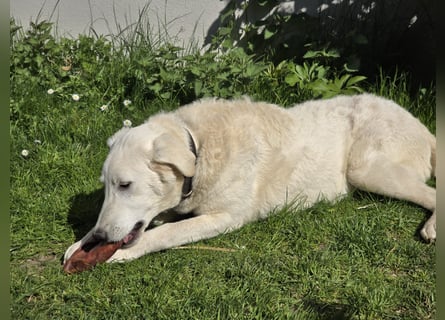 Kate: sucht Familienanschluss