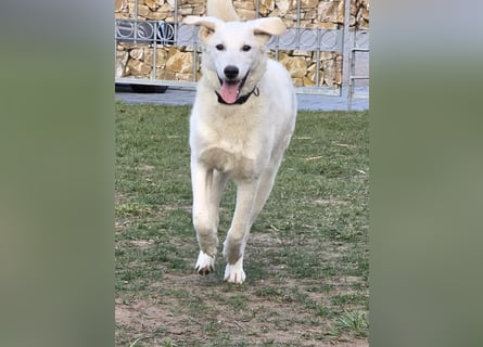 Kate: sucht Familienanschluss