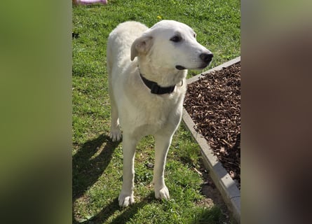 Kate: sucht Familienanschluss