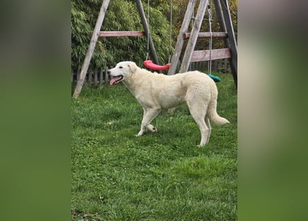 Kate: sucht Familienanschluss