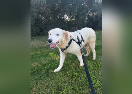 Tom: verliebt in alle Menschen