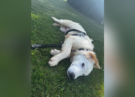 Tom: verliebt in alle Menschen