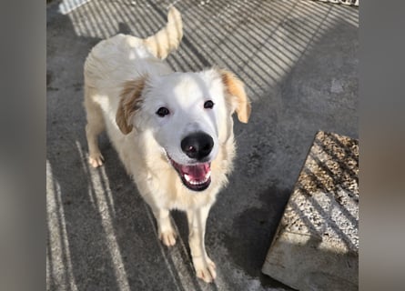 Tom: verliebt in alle Menschen