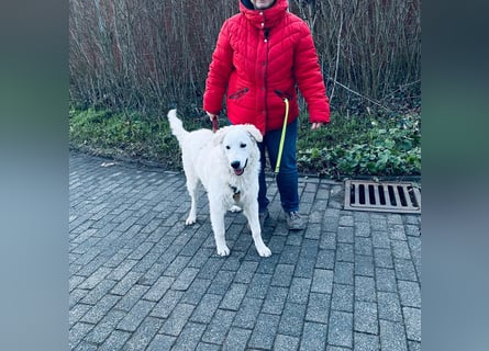 Cappuccino: sein Traum: eine eigene Familie