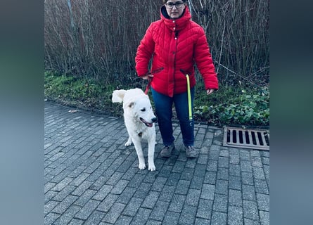 Cappuccino: sein Traum von einer eigenen Familie