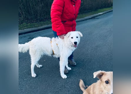 Cappuccino: sein Traum: eine eigene Familie