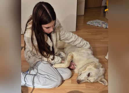 Milo: ein Schatz, der immer lacht