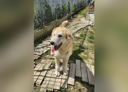 Tito: wie ein Sechser im Lotto