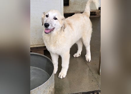 Tancredi: mit ihm wird die Welt ein wenig bunter