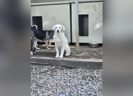 Clarissa: von der Flasche ins Tierheim