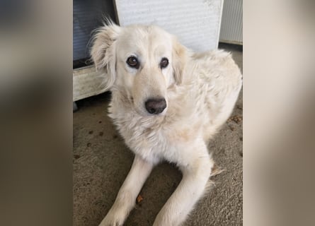 Miriam: Schritt für Schritt ins Glück