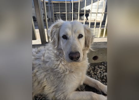 Miriam: Schritt für Schritt ins Glück