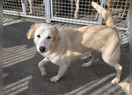 Tom: verliebt in alle Menschen