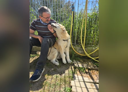 Tito: wie ein Sechser im Lotto