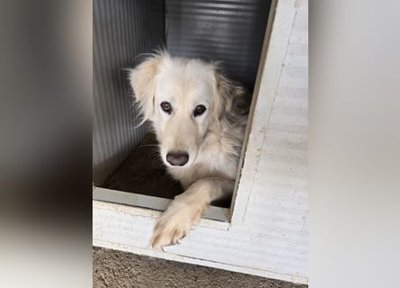 Miriam: Schritt für Schritt ins Glück