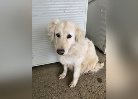 Miriam: Schritt für Schritt ins Glück