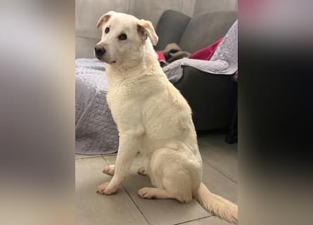 Lucio - wo bist du, der mich liebt?