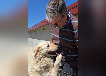 Olaf: wie groß kann Sehnsucht sein