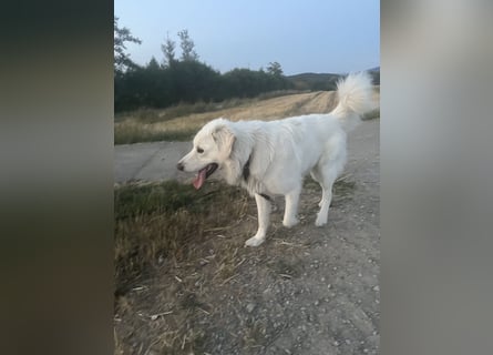 Franzl sucht seinen besonderen Lebensplatz