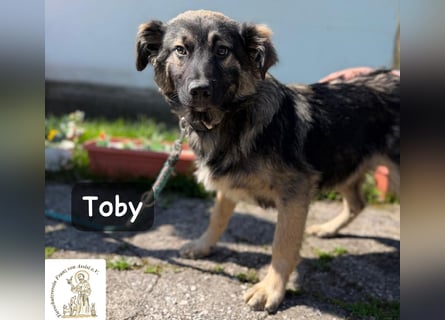 Toby hat Pläne … große!