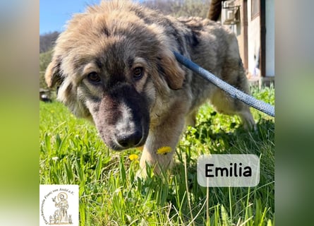 Emilia – mit Klarheit, Herz und Verantwortung durchs Leben!