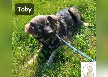 Toby hat Pläne … große!