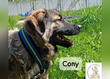 Cony – klug, klar, charakterstark!