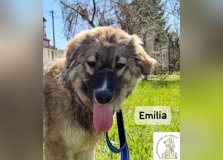 Emilia – mit Klarheit, Herz und Verantwortung durchs Leben!