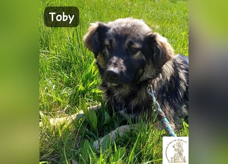 Toby hat Pläne … große!