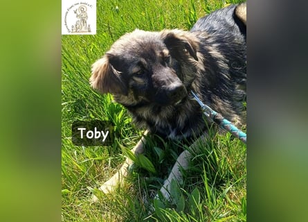 Toby hat Pläne … große!