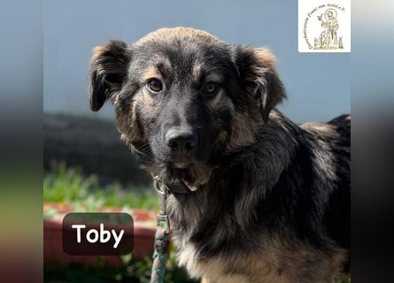 Toby hat Pläne … große!