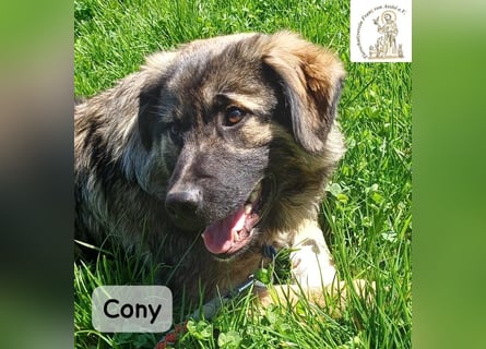 Cony – klug, klar, charakterstark!